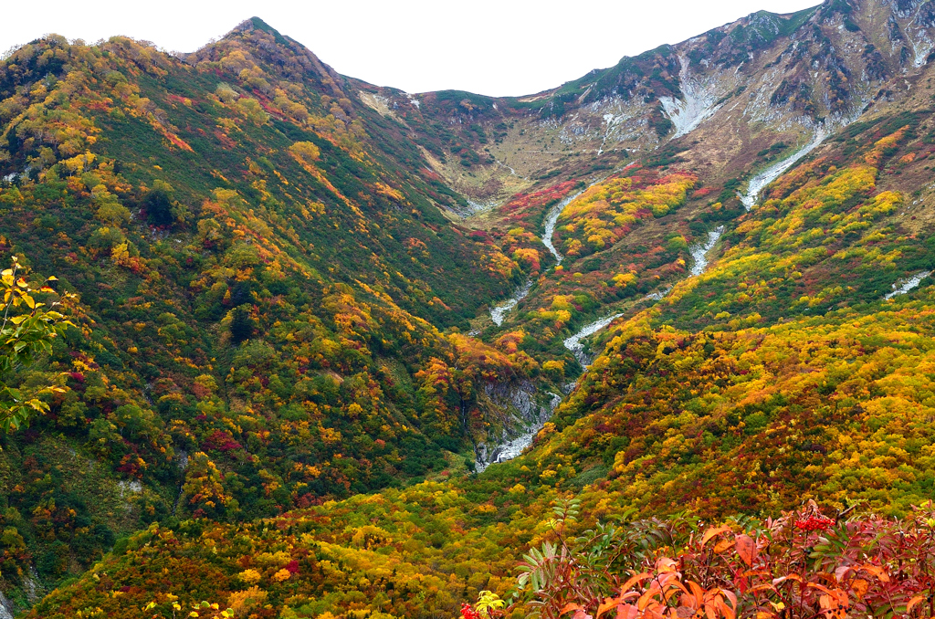 錦秋の大観峰