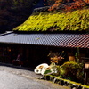 京都の老舗茶屋