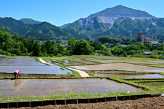 ５月の寺坂棚田