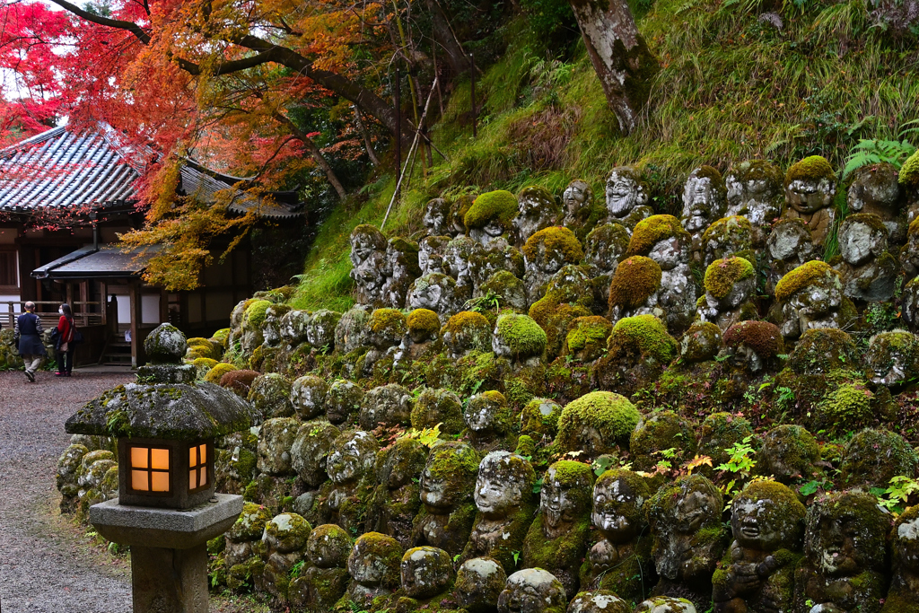 秋の奥嵯峨＜愛宕念仏寺＞ーⅠ
