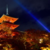 一条の光
