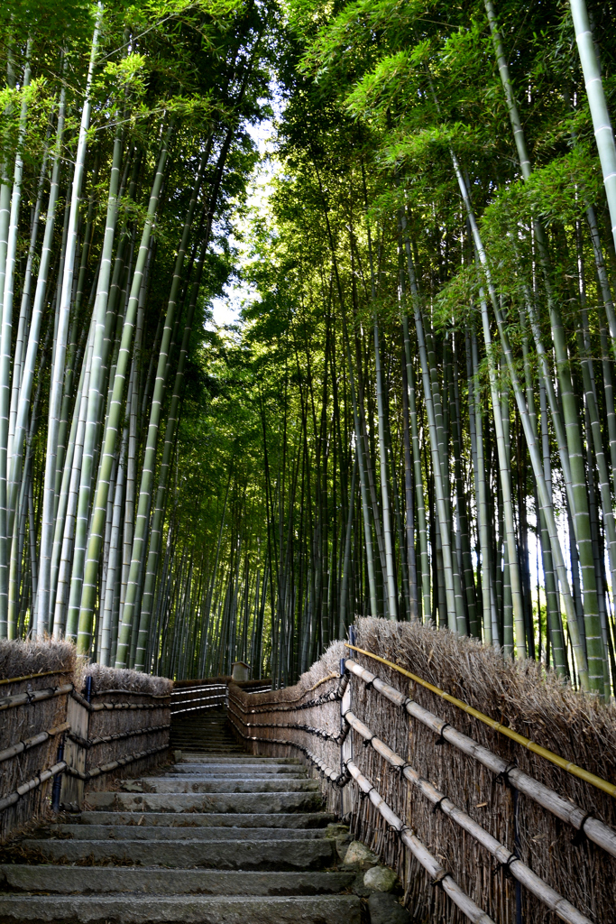 初秋の京都ーⅡ