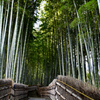 初秋の京都ーⅡ