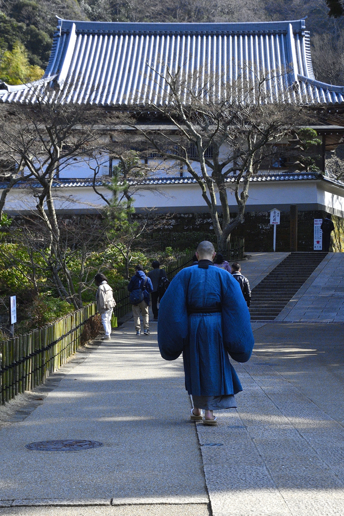 春の円覚寺ーⅡ