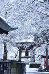 雪の高倉寺ーⅡ