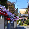 花街散歩＜上七軒＞ーⅠ