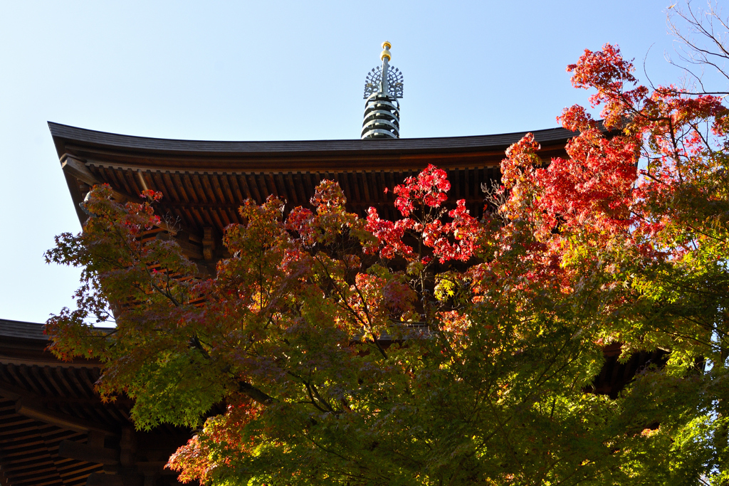 秋の豪徳寺＜紅葉と三重塔＞