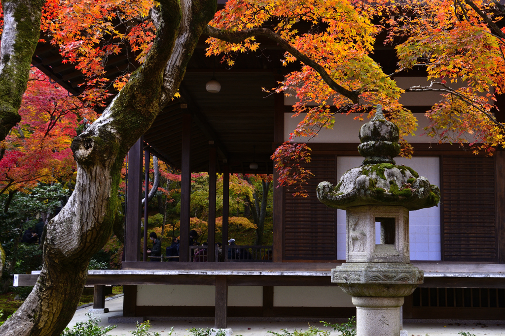 嵯峨野紅葉巡り＜常寂光寺＞