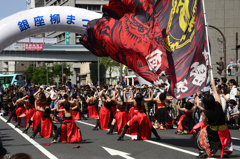 銀座柳祭-②