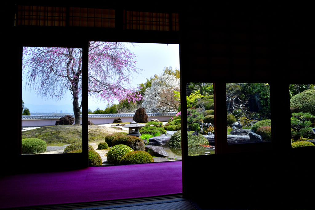 大原野の春＜正法寺＞