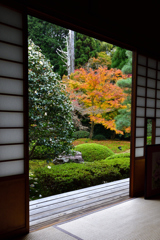 秋の雲龍院ーⅢ