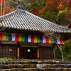 秋の長谷寺ーⅢ