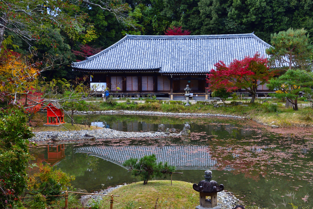 秋の浄瑠璃寺ーⅣ