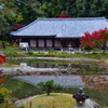 秋の浄瑠璃寺ーⅣ