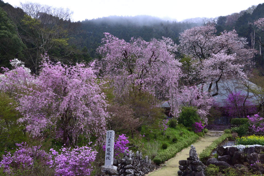 花の山寺