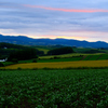 美瑛の丘＜夕景＞