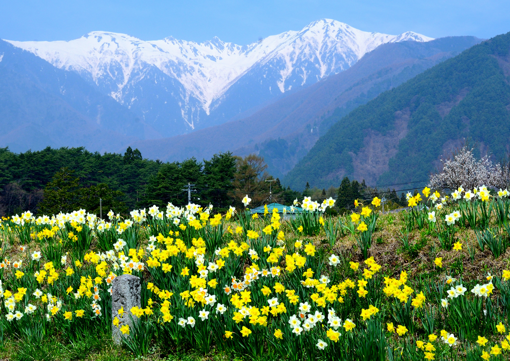 山麓の春ーⅠ