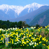 山麓の春ーⅠ