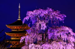 古都の宵＜東寺＞