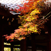 錦秋の寺ーⅡ