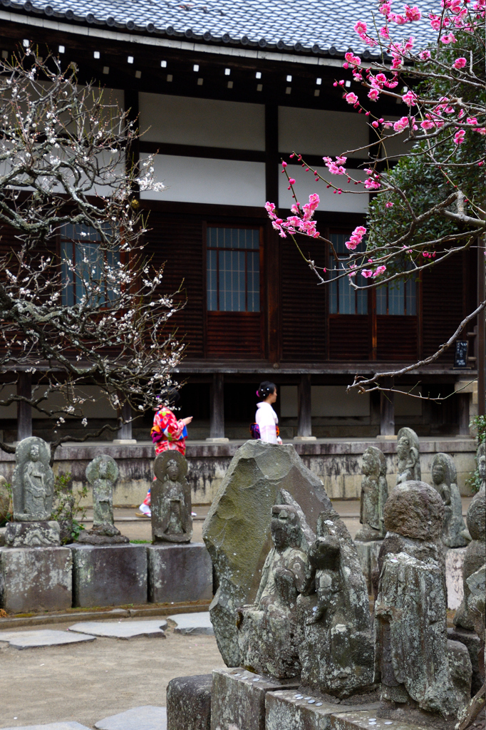 古刹の春＜円覚寺＞ーⅢ