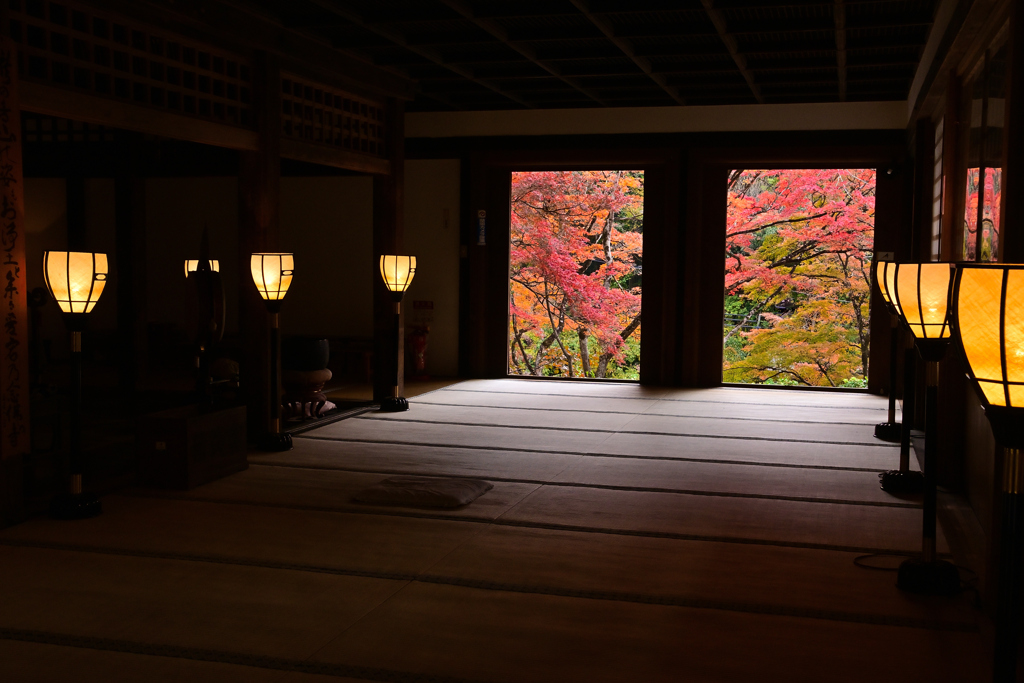 秋の奥嵯峨＜愛宕念仏寺＞ーⅡ