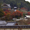 秋の長谷寺ーⅣ