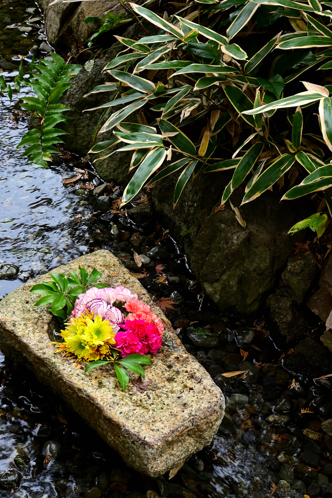 秋の一条恵観山荘ーⅡ