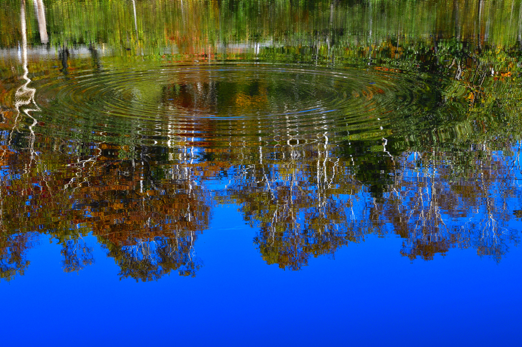 秋の彩り＜上の小池＞