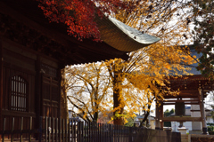 秋の高倉寺