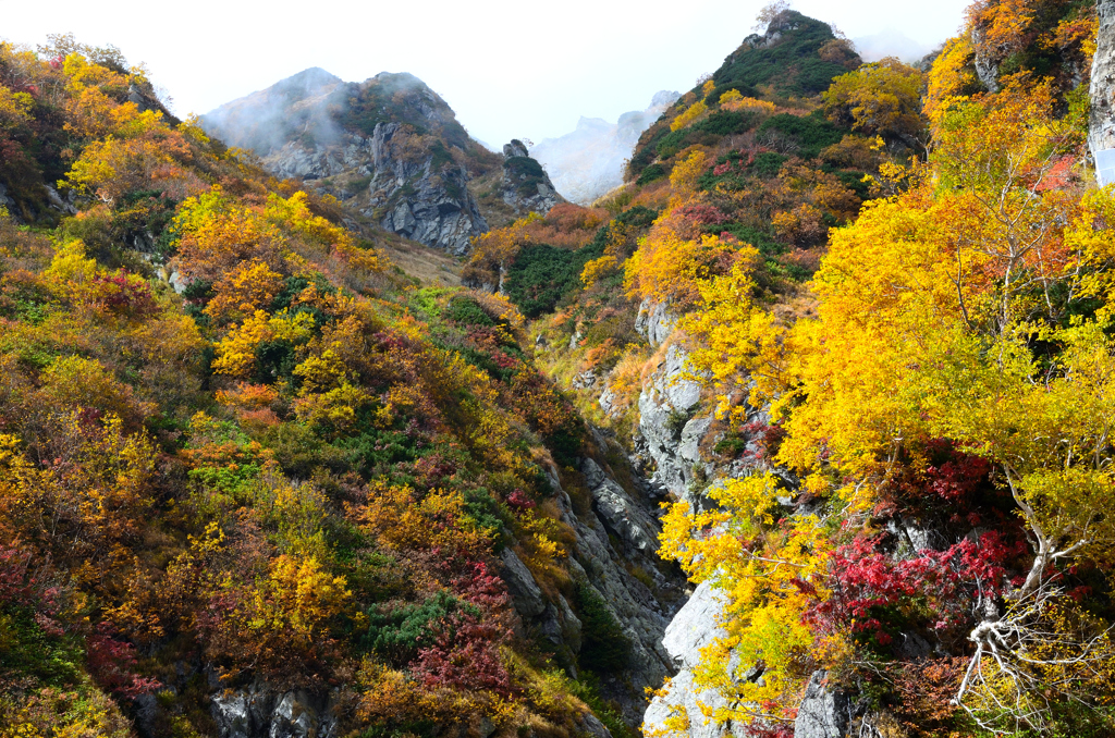 錦秋の立山ーⅠ