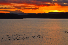 狭山湖夕景－Ⅲ