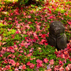 散紅葉の中で＜圓光寺＞