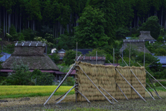 初秋の美山ーⅠ