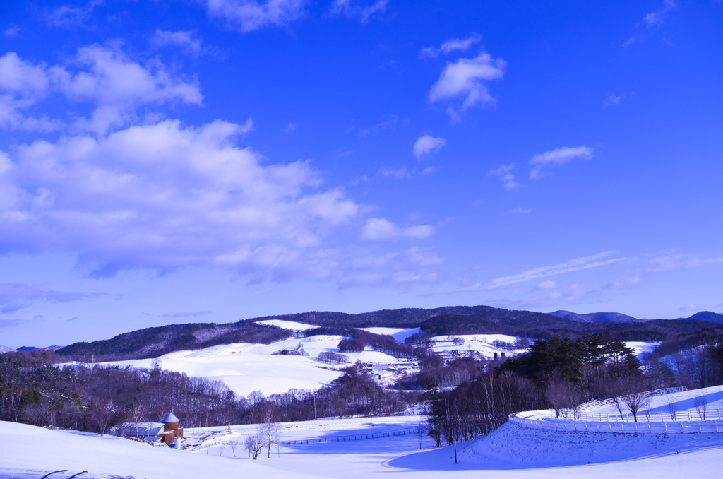 青空と雪の大地