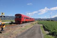 ローカル列車