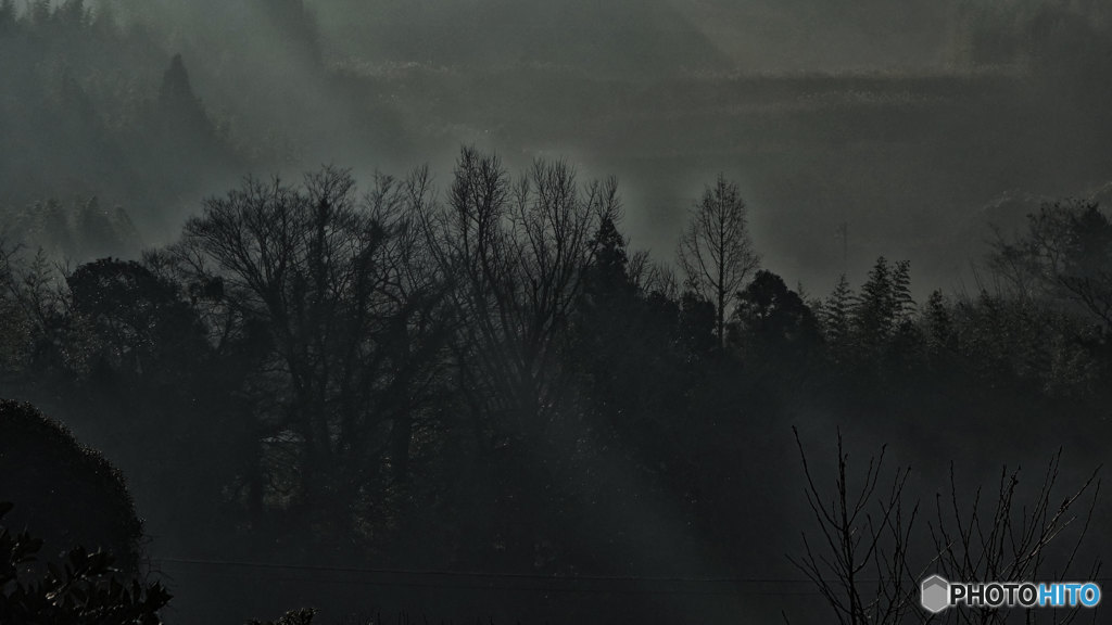 朝霧の風景