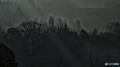 朝霧の風景