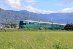 湯布院の森