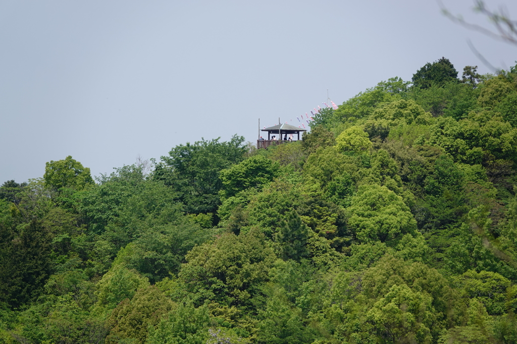 大平山展望台2