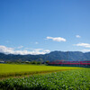 AROUND THE KYUSHU