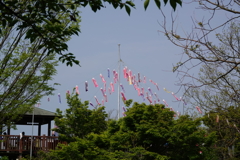 大平山展望台1