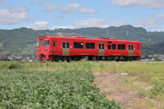 ローカル列車