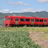 ローカル列車