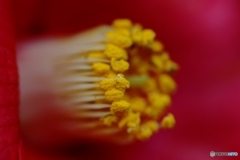 D5183543-44AE-4A18-B305-52270B00DDFB