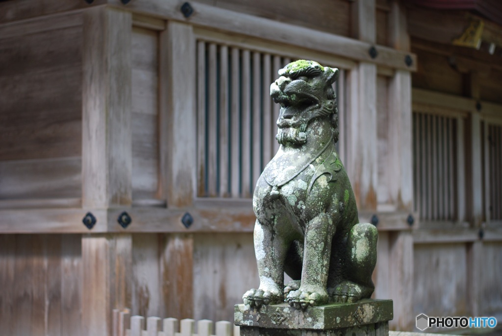 043FCE62-B7B4-44F3-8A70-32795B4F16BE