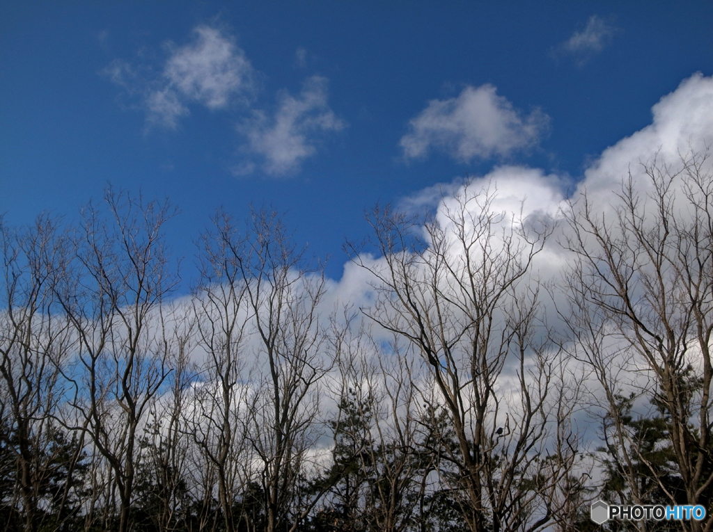 72C2ECE5-F361-4B0C-A9A1-573E99D302BD