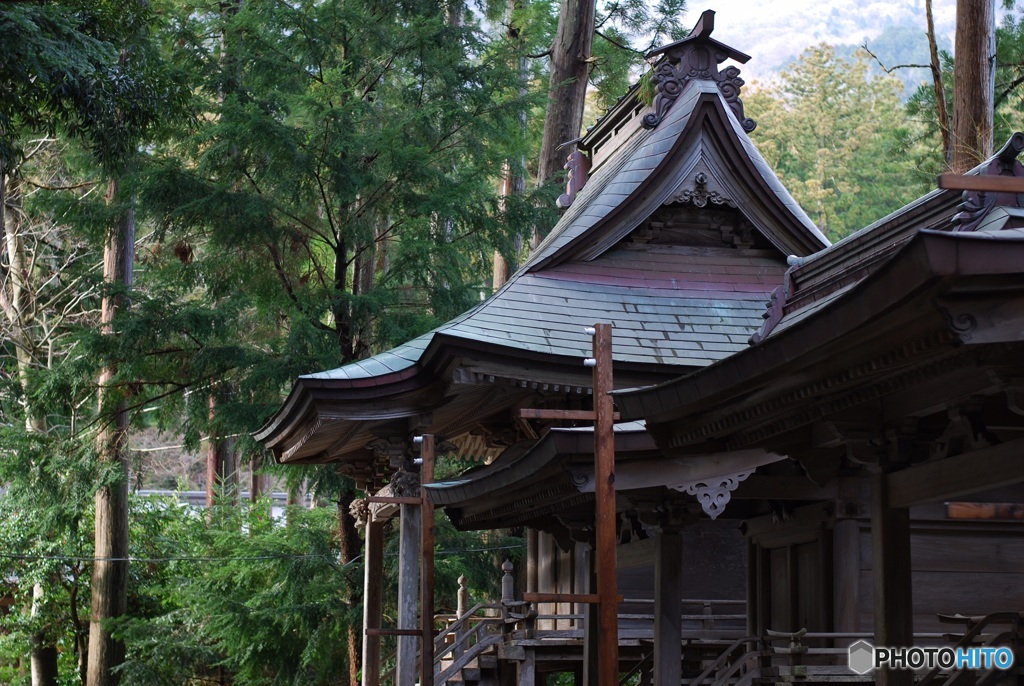 BCDD9B21-207A-4290-A401-FA758C06BEE2