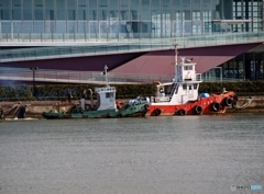 5091693B-E596-440A-96D6-1393999CEB0B