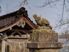 07505FB4-3F3F-4544-B1BF-F0CA733CE11D